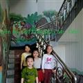 Lắp lưới bảo vệ cầu thang, ban công tại Hòa Xuân - Đà Nẵng